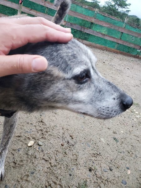 f:id:roukenhome-ann:20191019173328j:plain