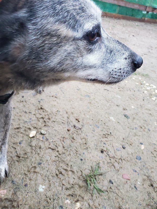 f:id:roukenhome-ann:20191019173334j:plain