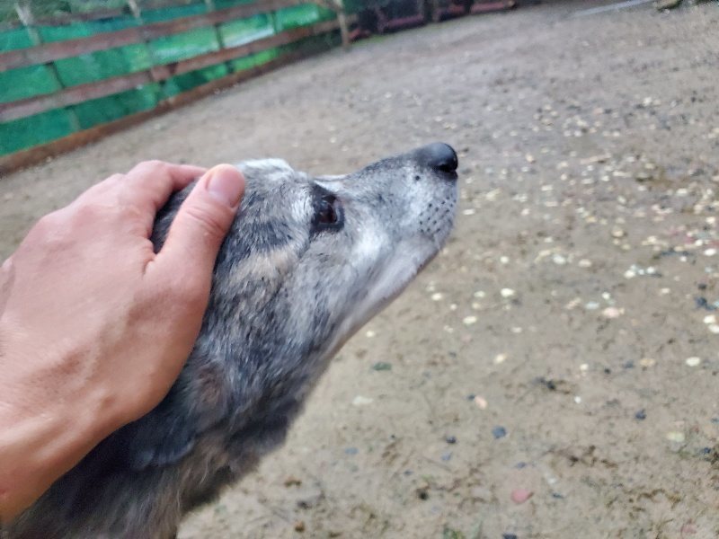 f:id:roukenhome-ann:20191019173350j:plain