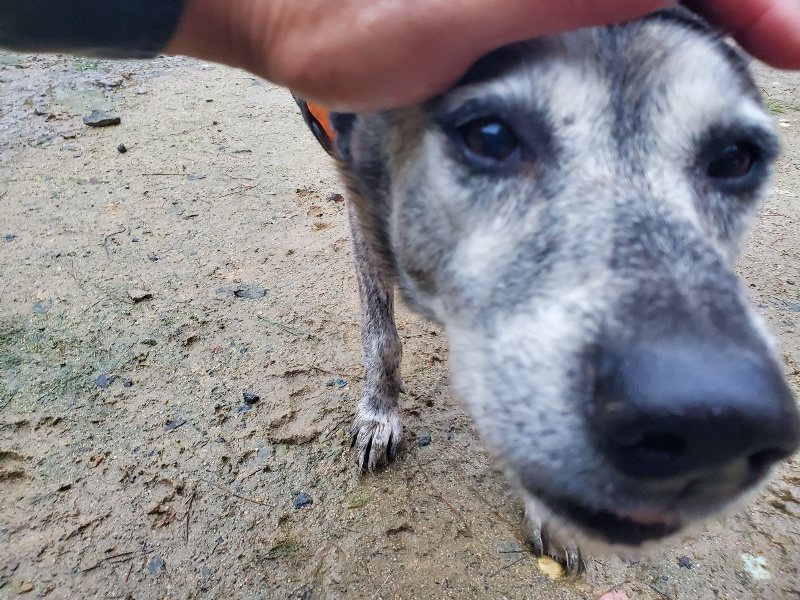 f:id:roukenhome-ann:20191019173400j:plain