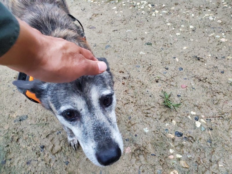 f:id:roukenhome-ann:20191019173410j:plain
