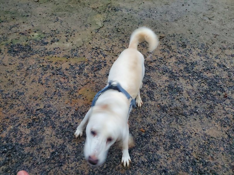 f:id:roukenhome-ann:20191019173456j:plain