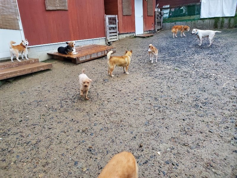f:id:roukenhome-ann:20191019173603j:plain