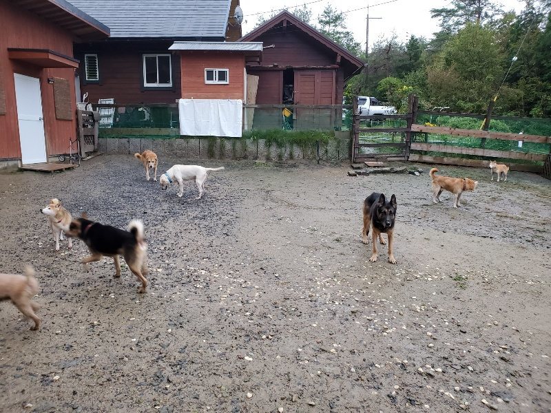 f:id:roukenhome-ann:20191019173626j:plain