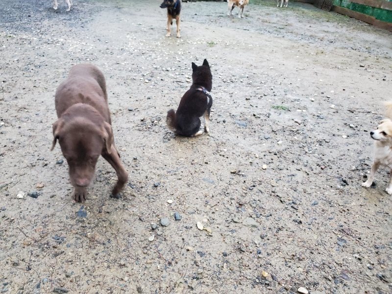 f:id:roukenhome-ann:20191019173634j:plain