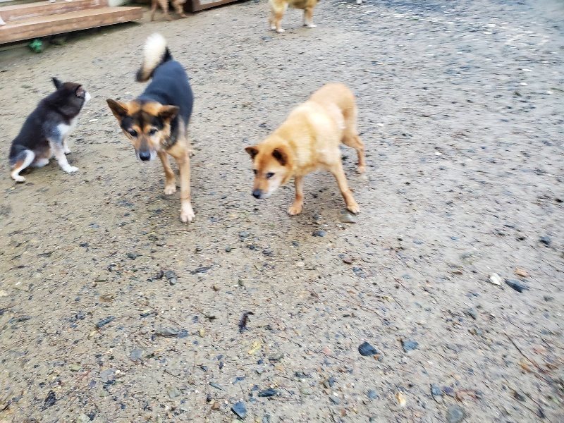 f:id:roukenhome-ann:20191019173642j:plain