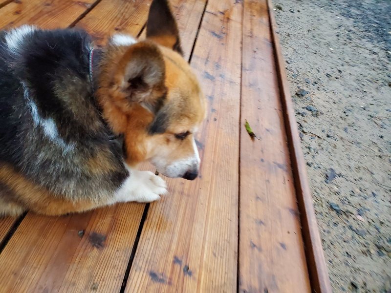 f:id:roukenhome-ann:20191019173730j:plain