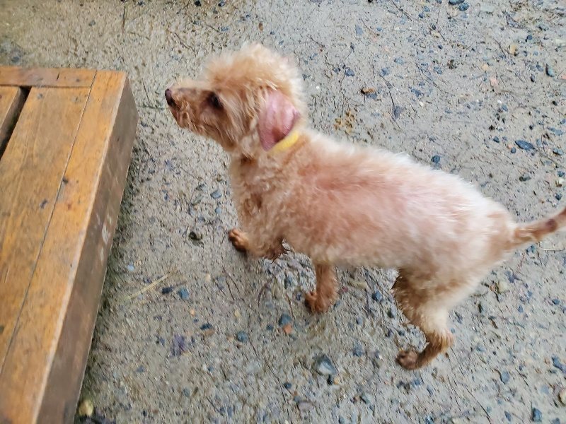 f:id:roukenhome-ann:20191019173743j:plain