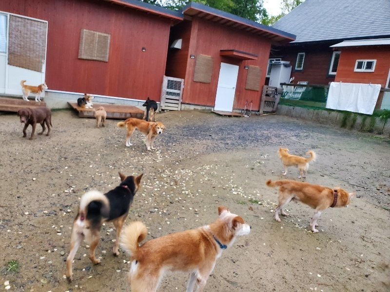 f:id:roukenhome-ann:20191019173804j:plain