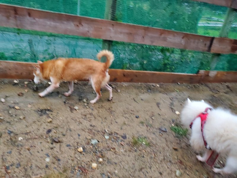 f:id:roukenhome-ann:20191019173844j:plain
