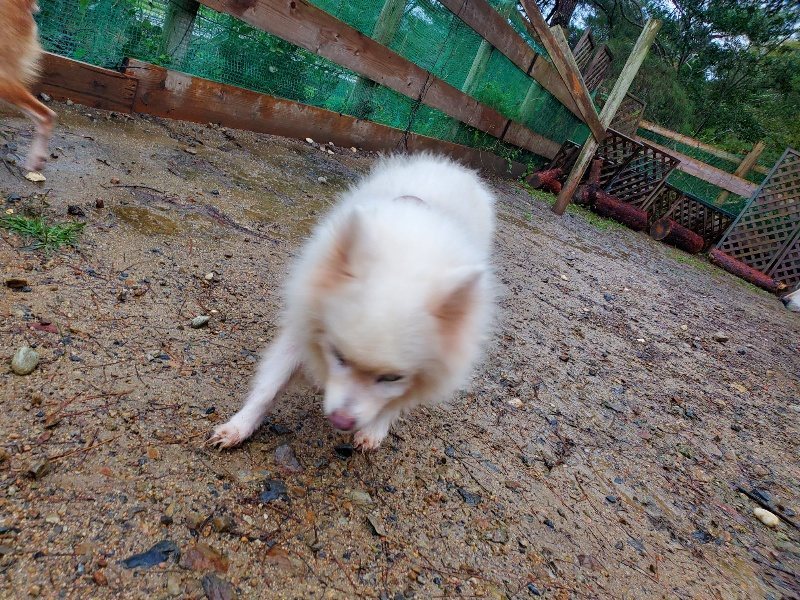 f:id:roukenhome-ann:20191019173854j:plain