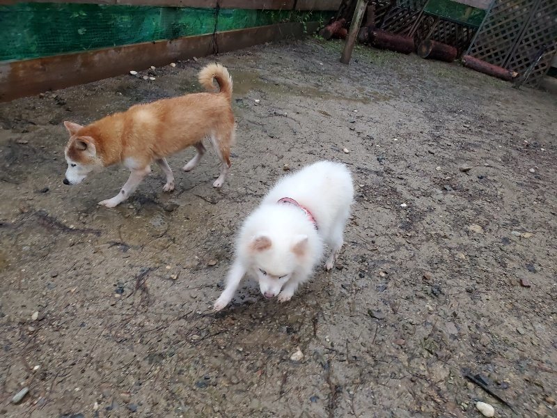 f:id:roukenhome-ann:20191019173913j:plain