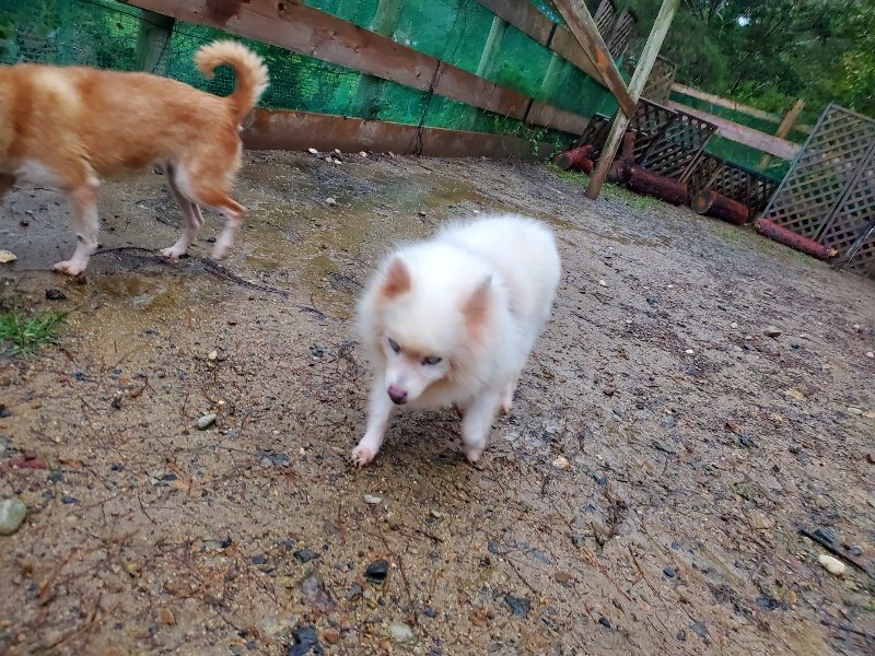 f:id:roukenhome-ann:20191019173923j:plain