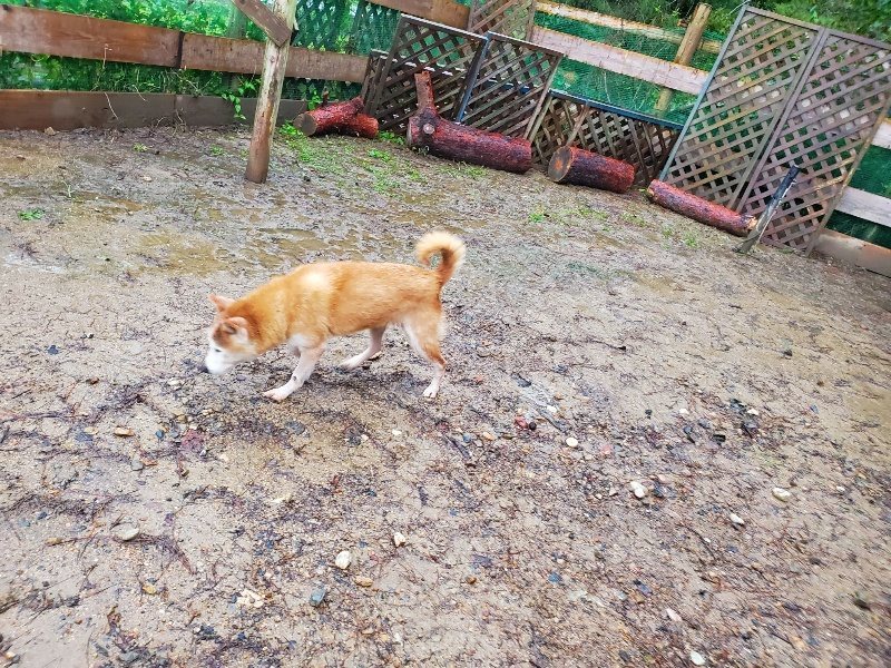 f:id:roukenhome-ann:20191019173942j:plain