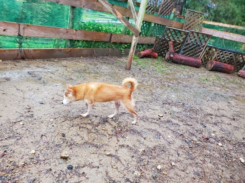 f:id:roukenhome-ann:20191019173954j:plain