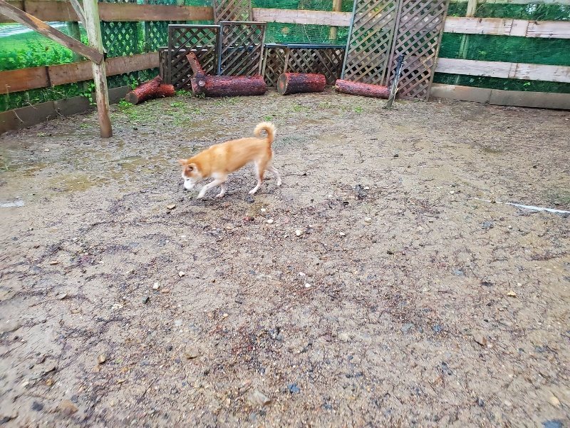 f:id:roukenhome-ann:20191019174008j:plain