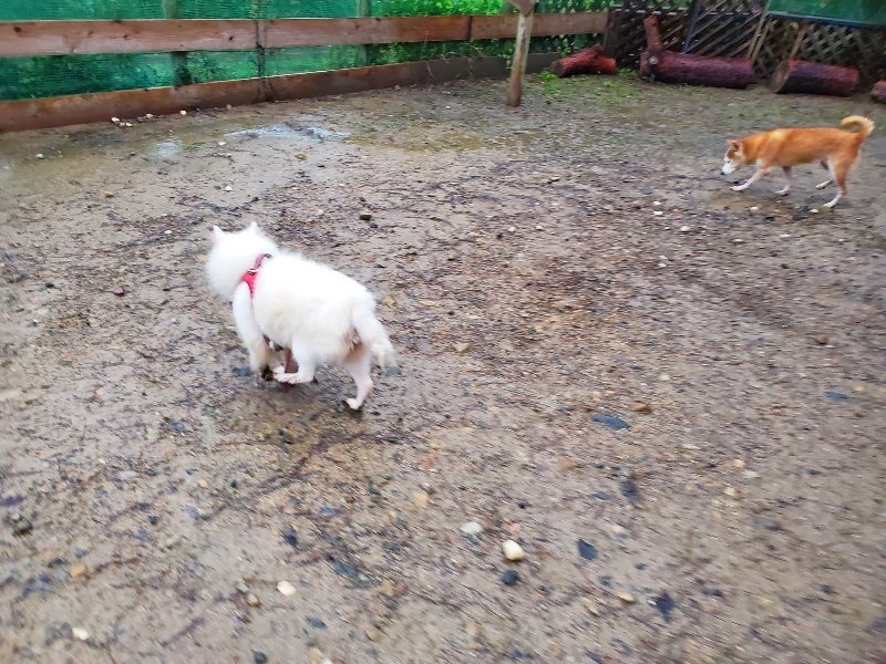 f:id:roukenhome-ann:20191019174021j:plain