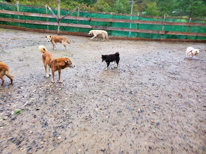 f:id:roukenhome-ann:20191019174034j:plain