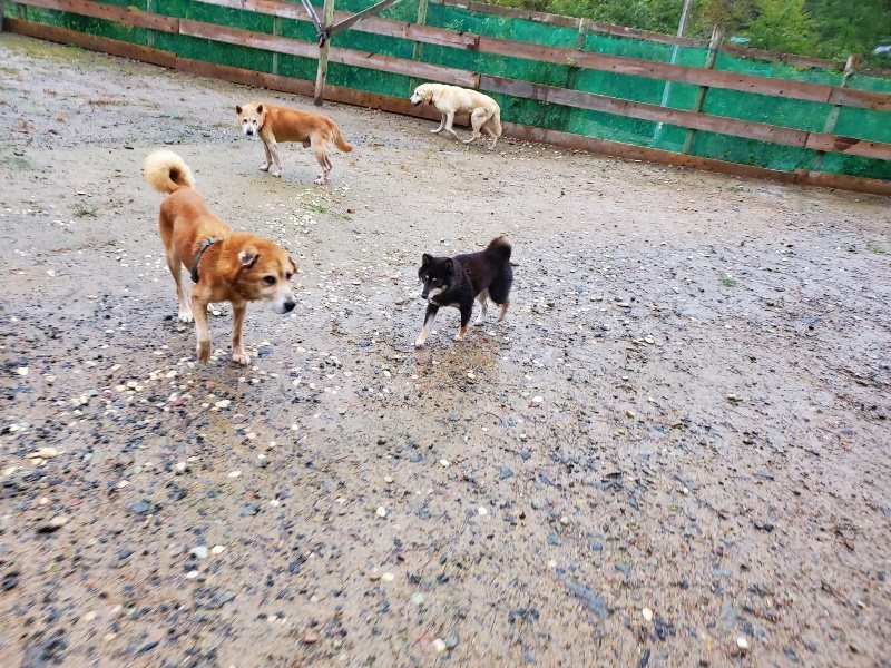 f:id:roukenhome-ann:20191019174047j:plain