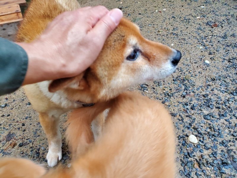 f:id:roukenhome-ann:20191019174629j:plain