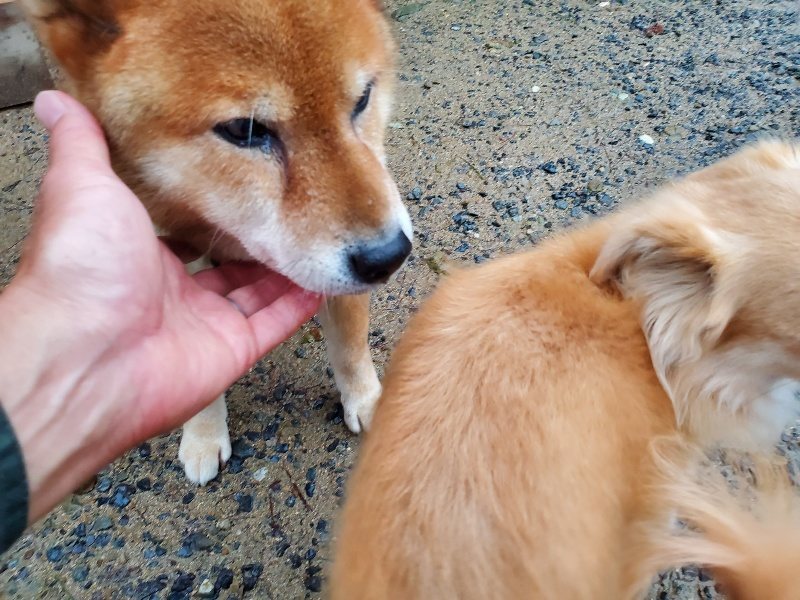 f:id:roukenhome-ann:20191019174643j:plain