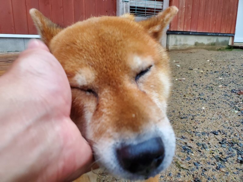 f:id:roukenhome-ann:20191019174650j:plain