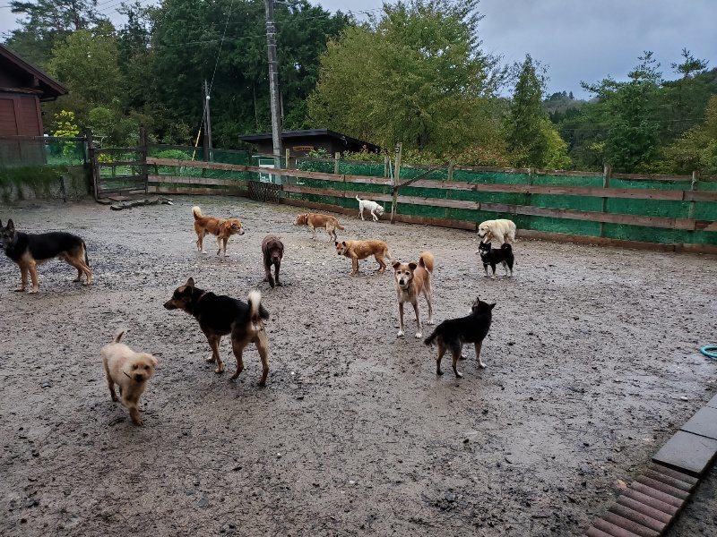f:id:roukenhome-ann:20191019174708j:plain