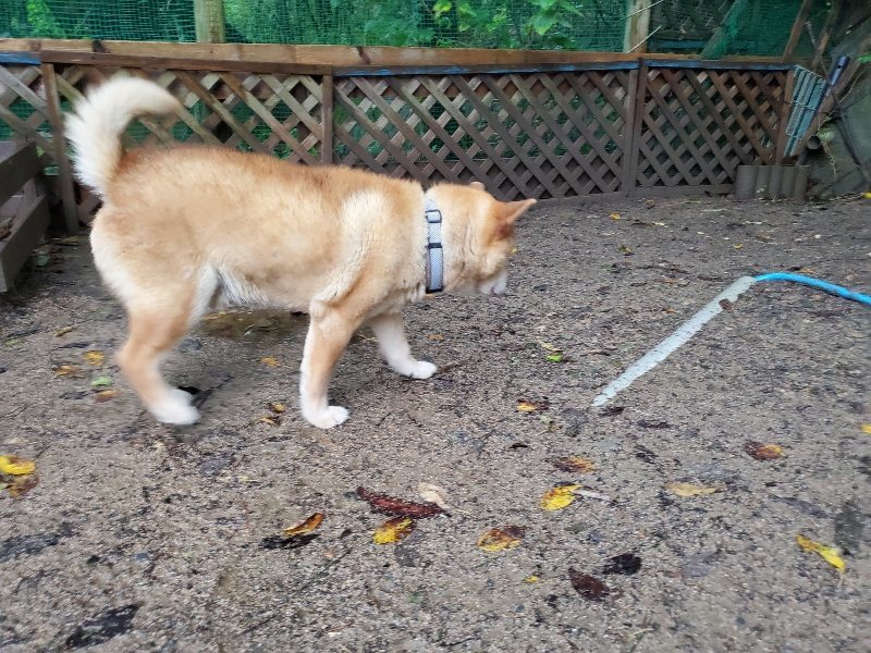 f:id:roukenhome-ann:20191019174754j:plain