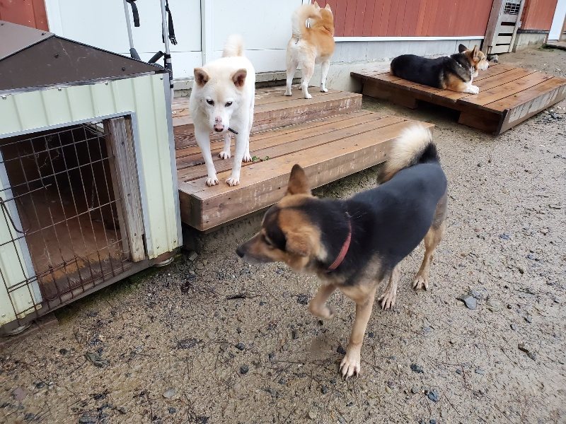 f:id:roukenhome-ann:20191019174816j:plain
