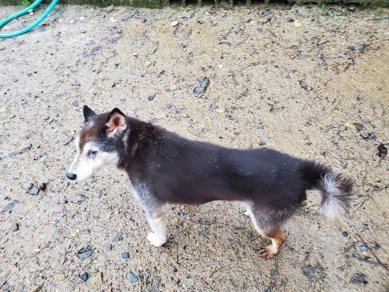 f:id:roukenhome-ann:20191019174843j:plain