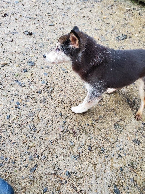 f:id:roukenhome-ann:20191019174856j:plain