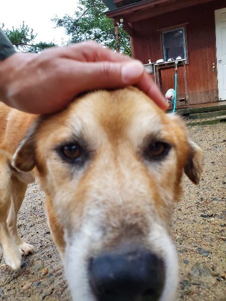 f:id:roukenhome-ann:20191019174922j:plain