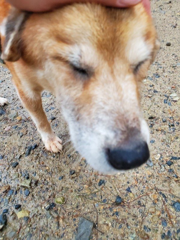 f:id:roukenhome-ann:20191019174948j:plain