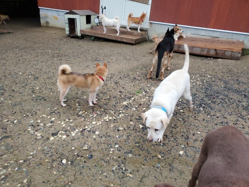 f:id:roukenhome-ann:20191019175014j:plain