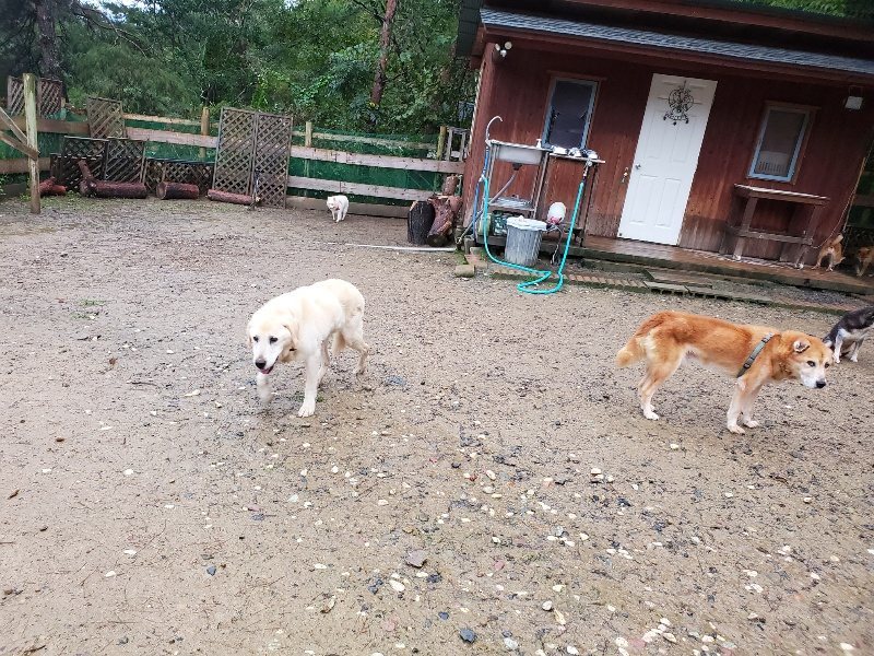 f:id:roukenhome-ann:20191019175036j:plain