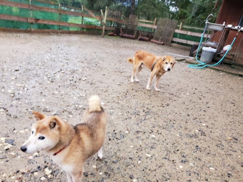 f:id:roukenhome-ann:20191019175102j:plain