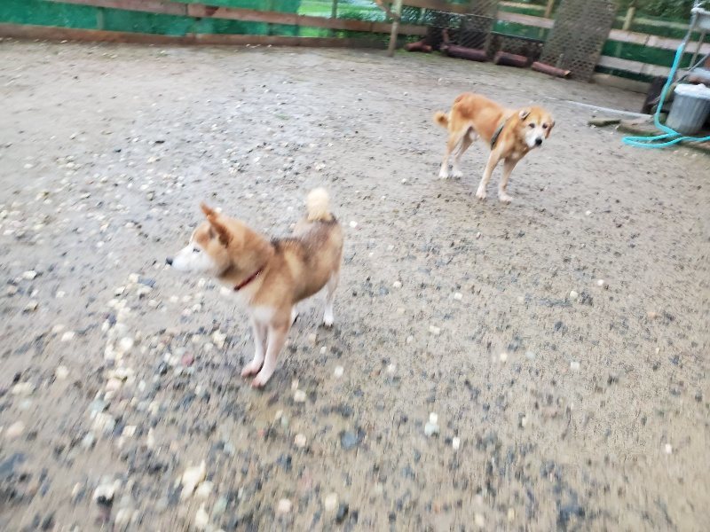 f:id:roukenhome-ann:20191019175117j:plain