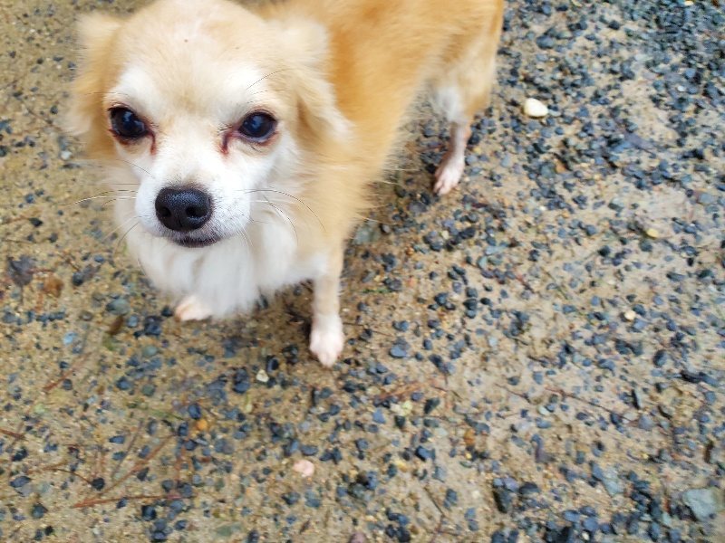 f:id:roukenhome-ann:20191019175142j:plain