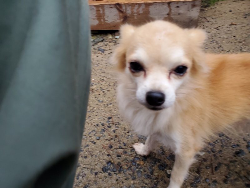 f:id:roukenhome-ann:20191019175148j:plain