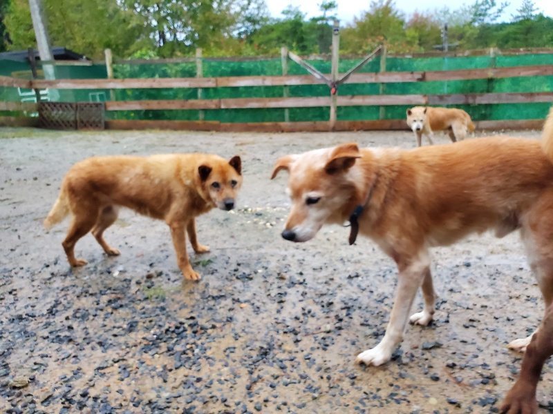 f:id:roukenhome-ann:20191019175155j:plain