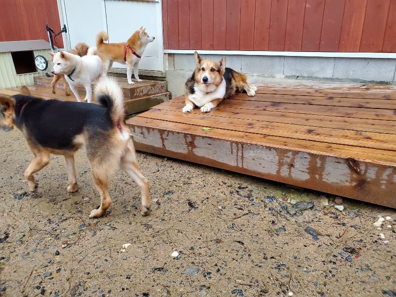 f:id:roukenhome-ann:20191019175210j:plain