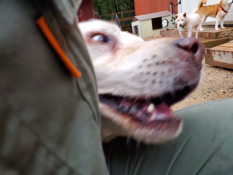 f:id:roukenhome-ann:20191019175220j:plain