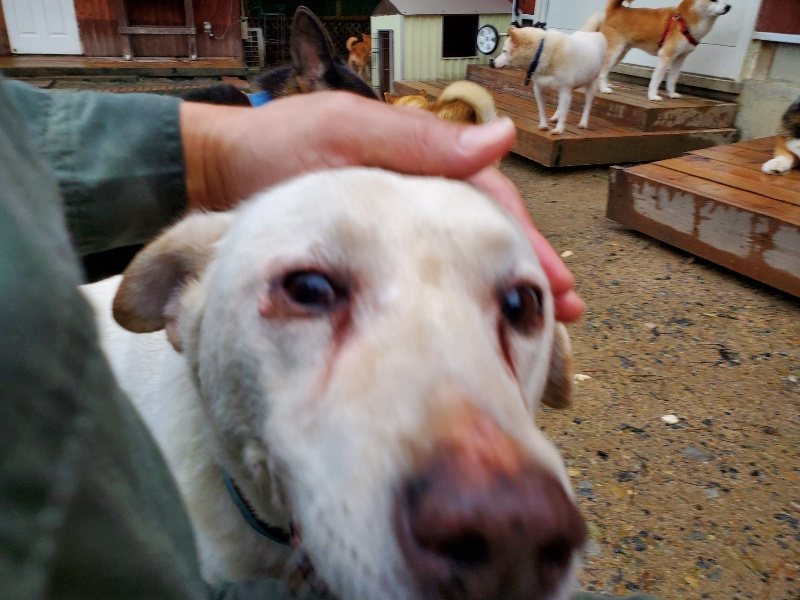 f:id:roukenhome-ann:20191019175242j:plain