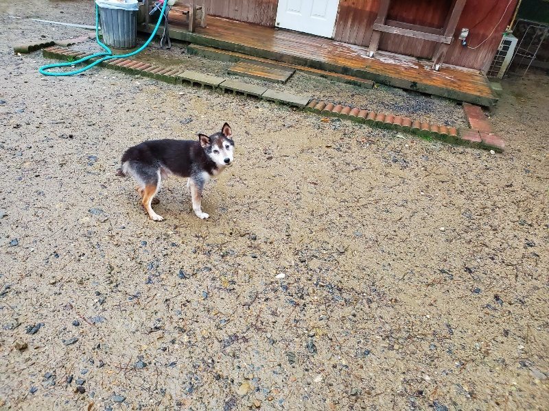 f:id:roukenhome-ann:20191019212410j:plain