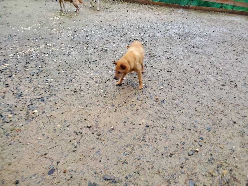 f:id:roukenhome-ann:20191019212423j:plain