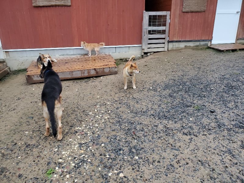 f:id:roukenhome-ann:20191019212450j:plain