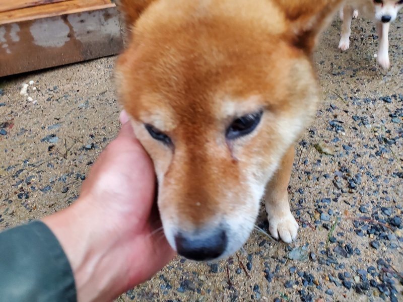 f:id:roukenhome-ann:20191019212457j:plain
