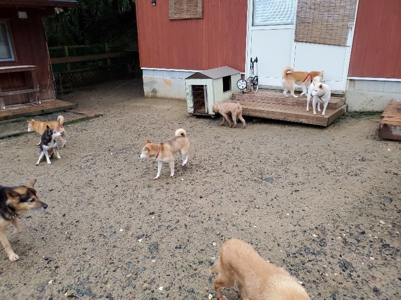 f:id:roukenhome-ann:20191019212505j:plain