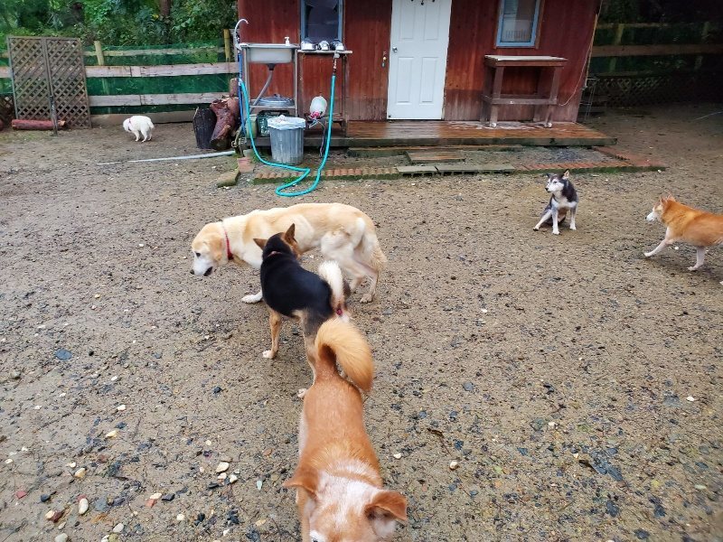 f:id:roukenhome-ann:20191019212522j:plain
