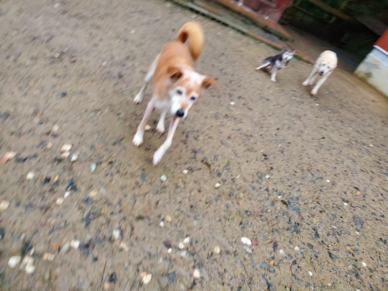 f:id:roukenhome-ann:20191019212528j:plain